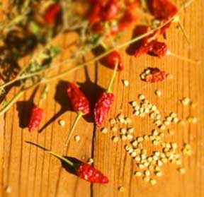 seeds