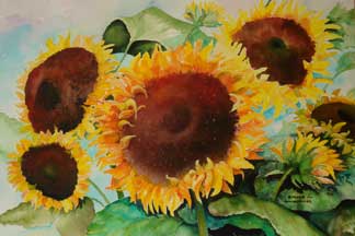 Sunflowers