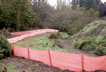 cm creek