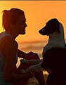 Biz News Image