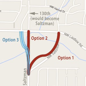 Saltzman road map.