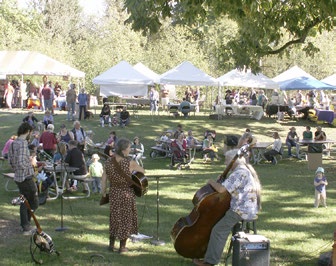 Cider Festival musical entertainers