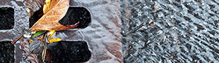 Leaves in storm grate.