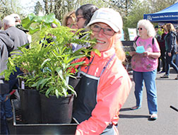 plant sale