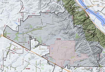 ZIP map