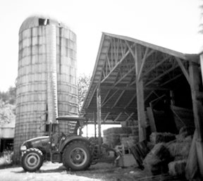 Old Silo by Leslie Peltz