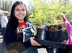 plant sale