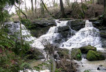 cedar mill falls