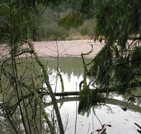 lagoon