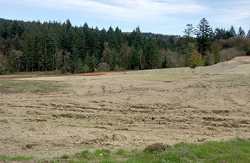 Trees have been cleared and preliminary grading is
underway at Arbor's Bonny Slope West development. Ward Creek lies below.