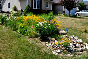 photo contest garden photo