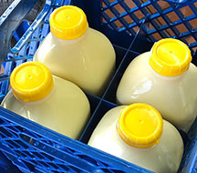 eggnog