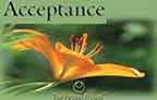 acceptance