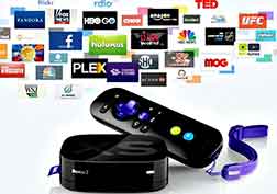 roku