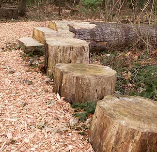 logs