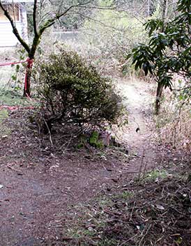 A well-worn dirt path leads around the house, past the wetland and into the woods. Neighbors use it to get to the playground in the west segment of Foege Park. 