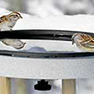 Birds need water, no ice!