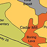 The Nature of Cedar Mill