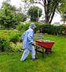 Gardening grows bones, too