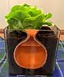 Growing Plants With Less Water