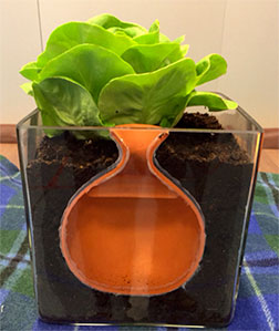 Terracotta Pots Along With Drip Irrigation