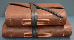 sue selbie pocket travel journals