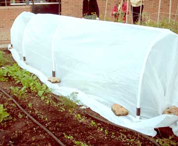hoop house