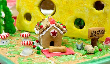 doghouse