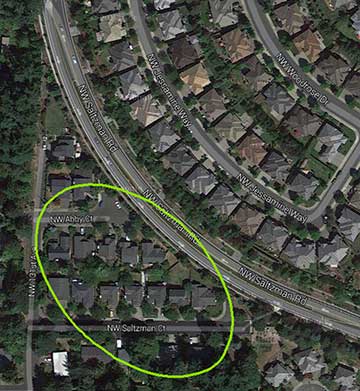 saltzman_sidewalk_map