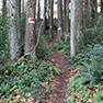 Neighbors fight to retain trail