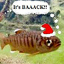 December 2016 Holiday News