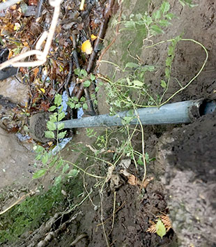flooding—fence post