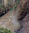 Flooding threatens structures
