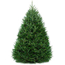 Tree recycling 