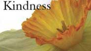 kindness
