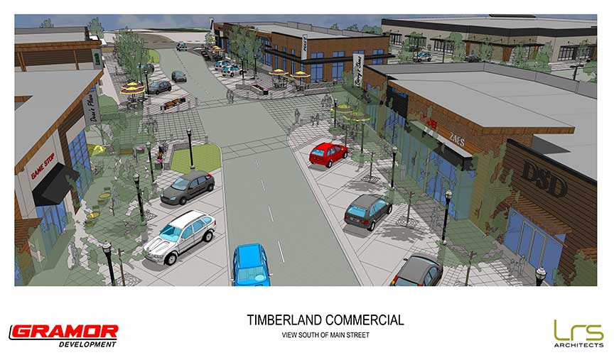 Timberland 1