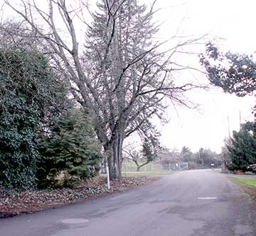 glenridge_site