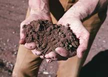 soil