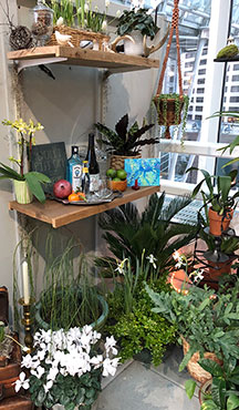 small garden