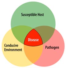 disease needs