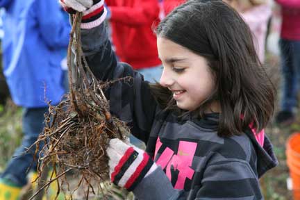 Cedar Mill News