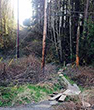 Community trail