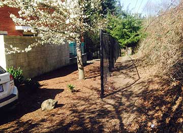 trail-parking