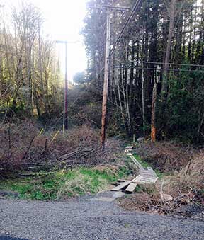 trail at Spring Crest