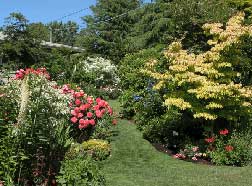 evergreen garden