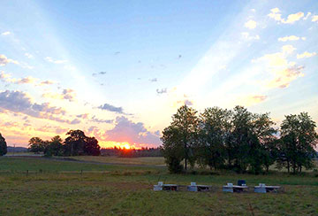 marion sunrise