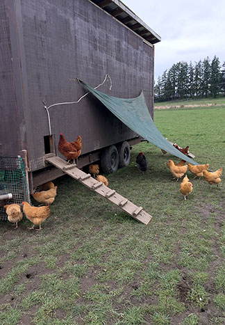 tractor exterior