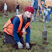 tree planting