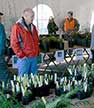 Plant sales