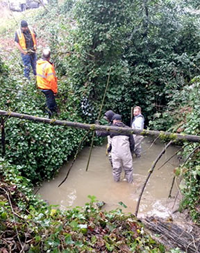cedar mill sewer response